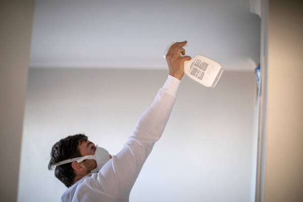 Reliable Winchester, VA Mold Removal Solutions