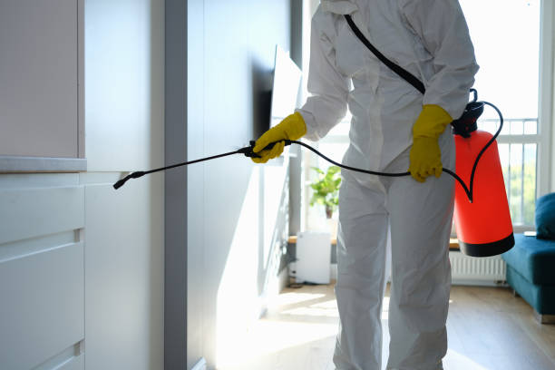 Best Residential Mold Removal  in Winchester, VA