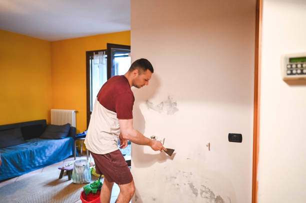 Best Mold Removal Company Near Me  in Winchester, VA